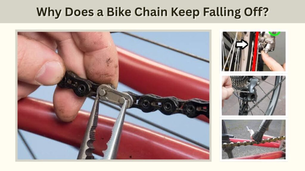 Why Does a Bike Chain Keep Falling Off?