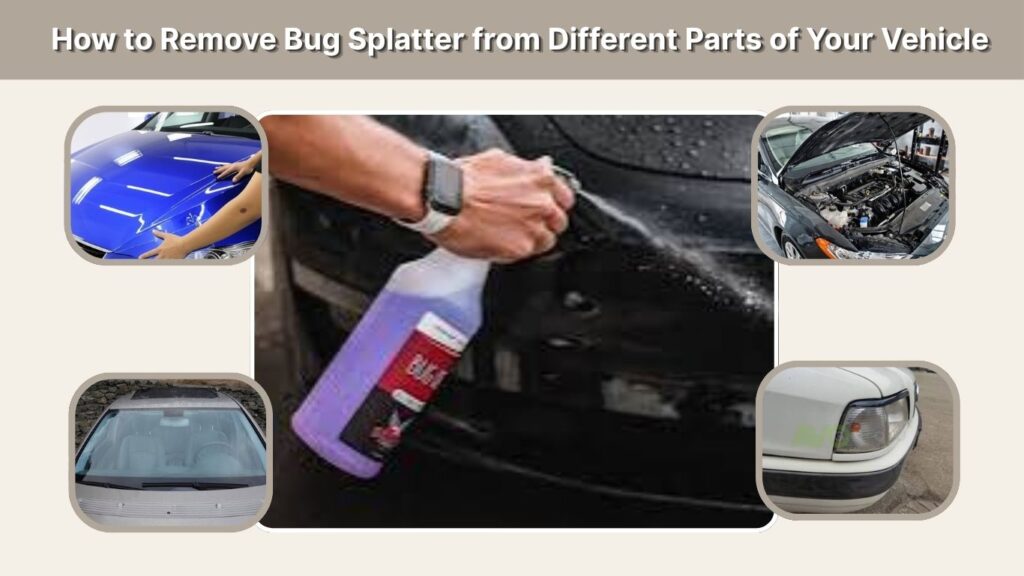 How to Remove Bug Splatter from Different Parts of Your Vehicle