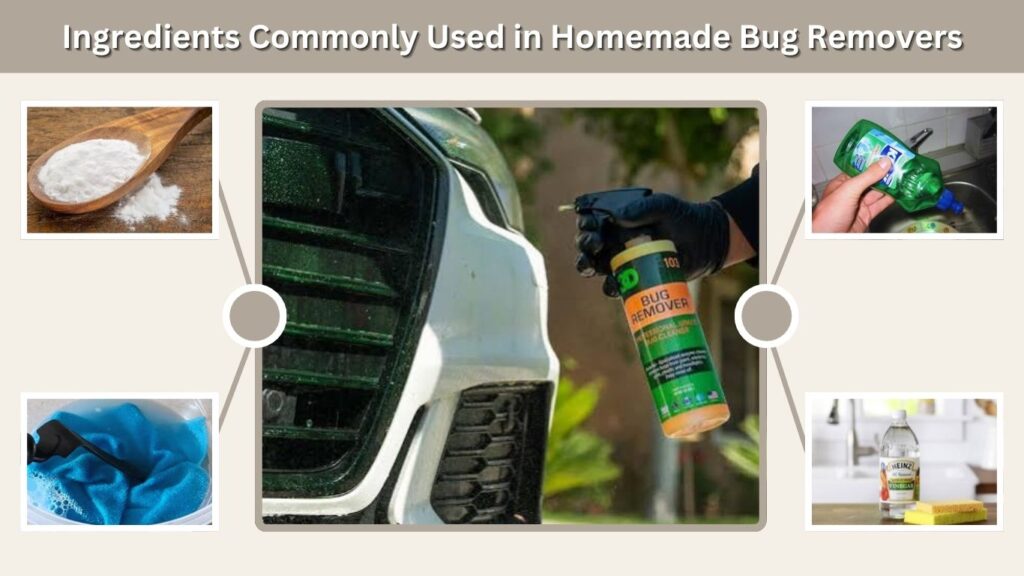 Ingredients Commonly Used in Homemade Bug Removers