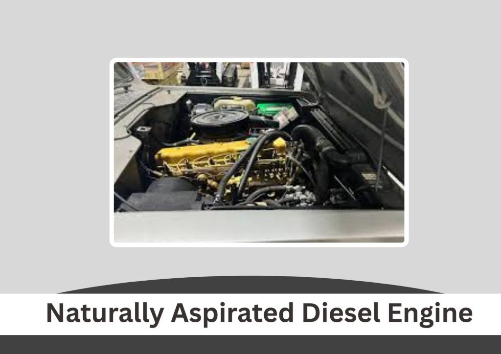 Naturally Aspirated Diesel Engine
