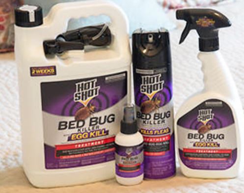 Homemade Bug Remover for Autos: Complete DIY Guide