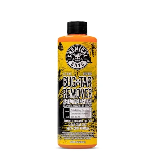 best bug remover for car paint