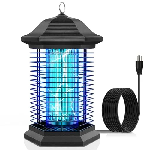 best bug remover for house