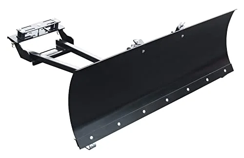 best 4 wheeler for snow plowing