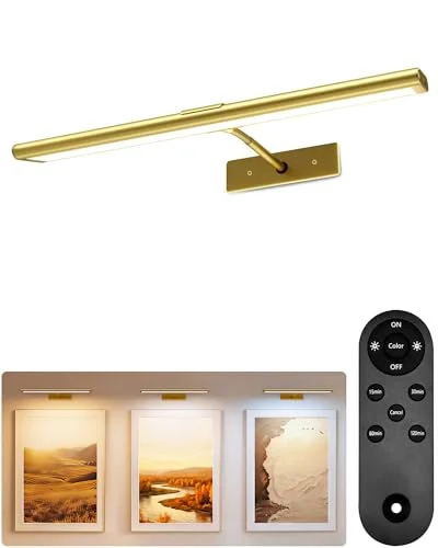 best battery operated picture light