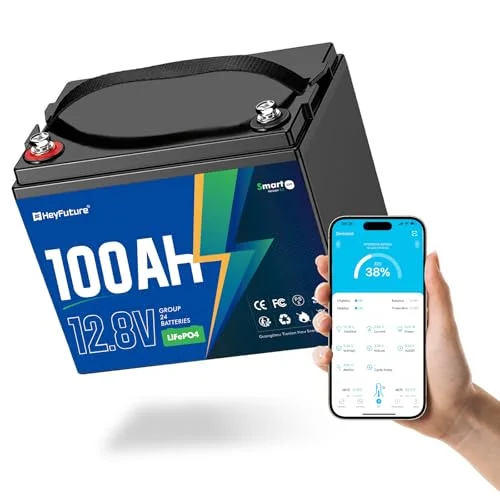 best lifepo4 battery for rv