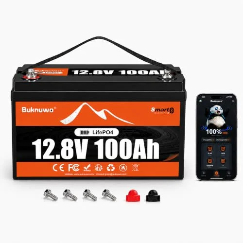 best lithium boat batteries
